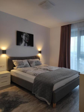 Armony Apartament Timisoara